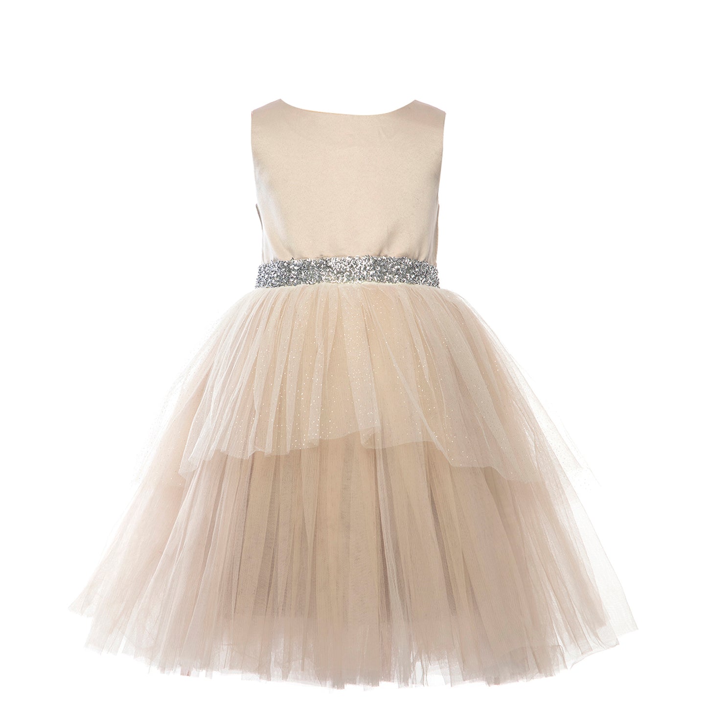 Neutral Color Beige Brown Shade Dress - Ideal for family dinners , evening events