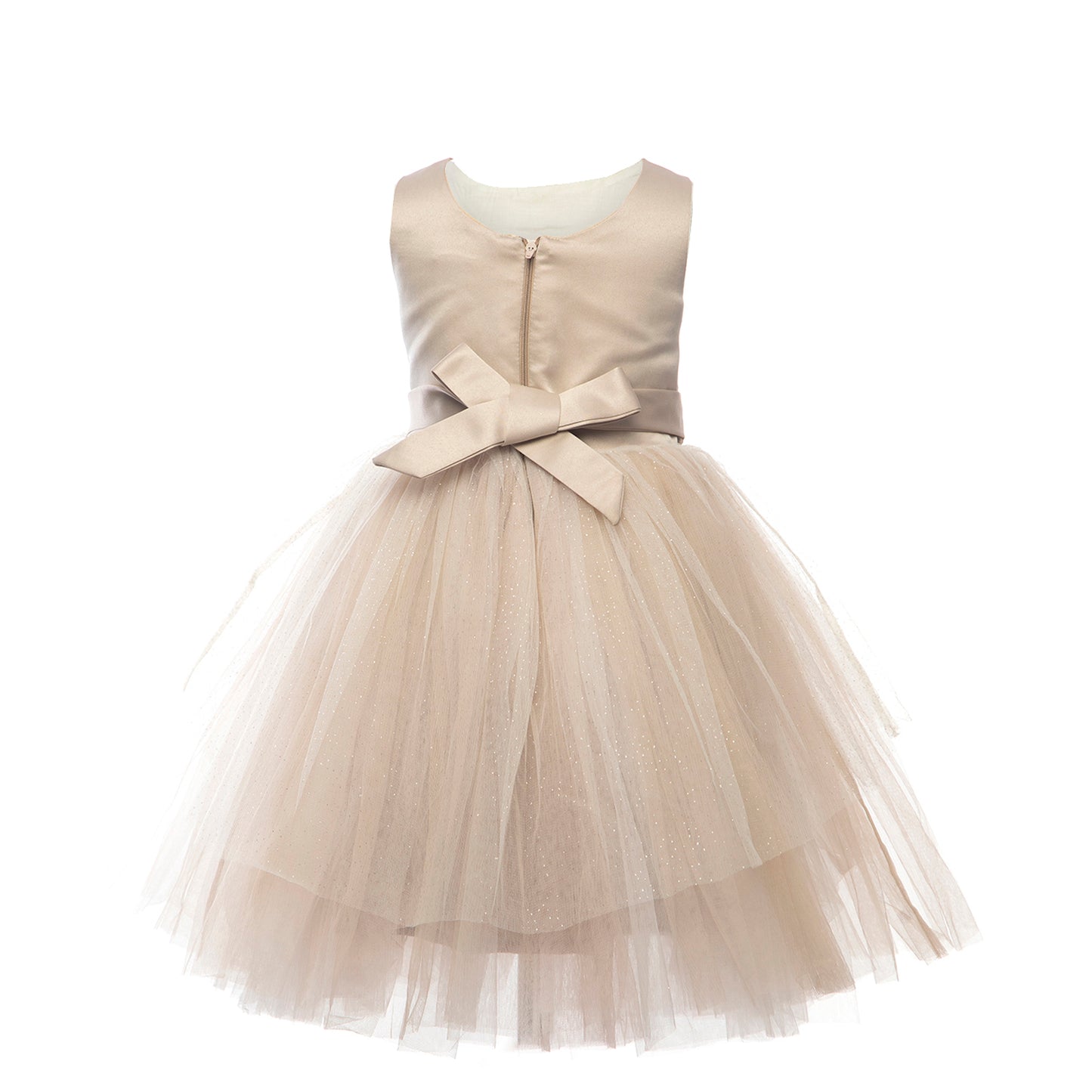 Neutral Color Beige Brown Shade Dress - Ideal for family dinners , evening events